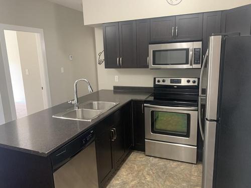 403-5170 Dallas Drive, Kamloops, BC - Indoor Photo Showing Kitchen With Double Sink