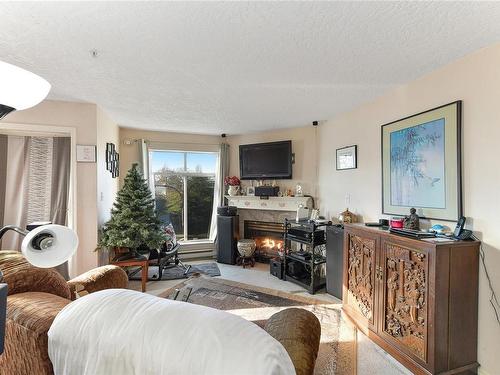 305-2511 Quadra St, Victoria, BC - Indoor Photo Showing Living Room With Fireplace