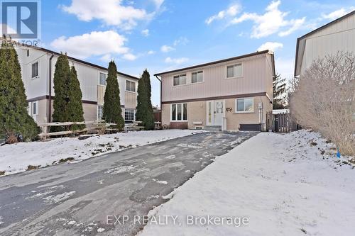 21 Hamlet Court, Brampton, ON - Outdoor