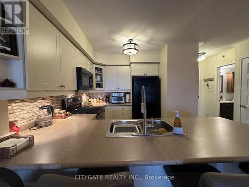 413 - 3060 Rotary Way, Burlington, ON - Indoor Photo Showing Kitchen With Double Sink