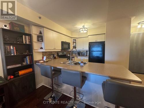 413 - 3060 Rotary Way, Burlington, ON - Indoor Photo Showing Kitchen With Double Sink