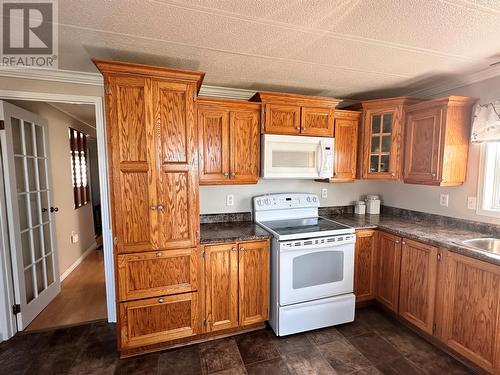 699 Sunset Drive, Garnish, NL - Indoor Photo Showing Kitchen