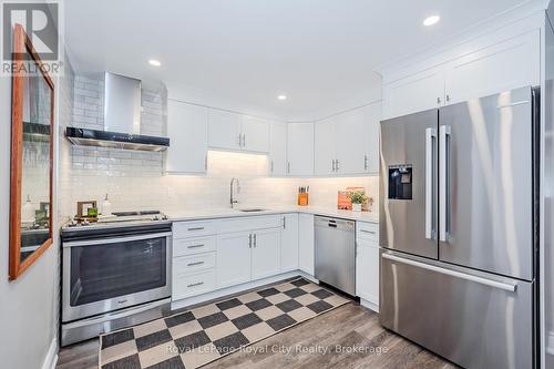 217 Bristol Street, Guelph (Downtown), ON - Indoor Photo Showing Kitchen With Upgraded Kitchen