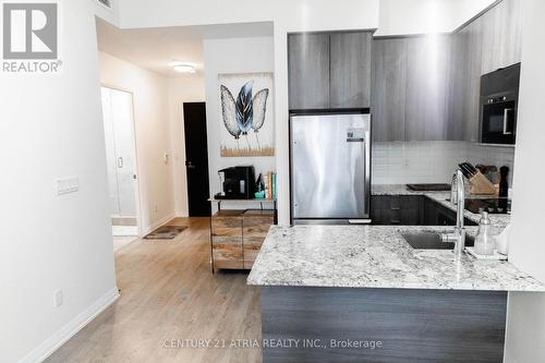 222 - 101 Erskine Avenue, Toronto, ON - Indoor Photo Showing Kitchen With Upgraded Kitchen