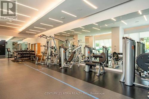 222 - 101 Erskine Avenue, Toronto, ON - Indoor Photo Showing Gym Room