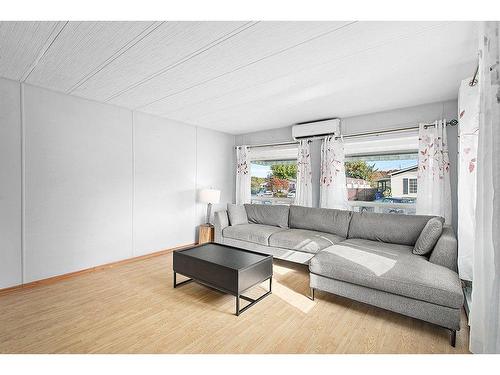 Salon - 127 2E Avenue O., Gatineau (Gatineau), QC - Indoor Photo Showing Living Room