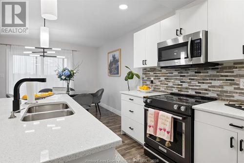 1176 Kamloops, Windsor, ON - Indoor Photo Showing Kitchen With Double Sink With Upgraded Kitchen