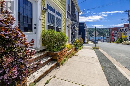 36 Cochrane Street, St. John'S, NL - Outdoor