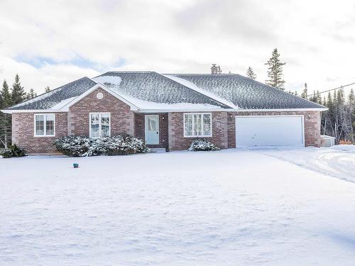 64 Tyler Avenue, Onslow Mountain, NS 