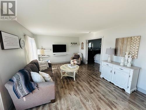 141 Main Street, Point Leamington, NL - Indoor Photo Showing Living Room