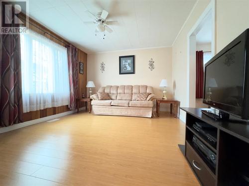 4 Serpentine Road, Mount Moriah, NL - Indoor Photo Showing Living Room