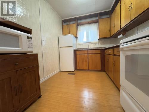 4 Serpentine Road, Mount Moriah, NL - Indoor Photo Showing Kitchen