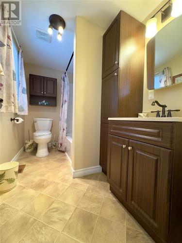 4 Serpentine Road, Mount Moriah, NL - Indoor Photo Showing Bathroom