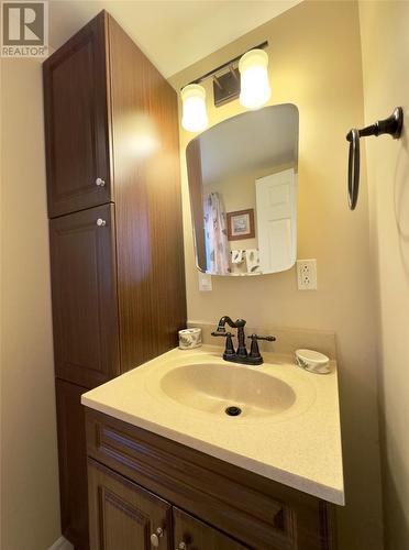 4 Serpentine Road, Mount Moriah, NL - Indoor Photo Showing Bathroom