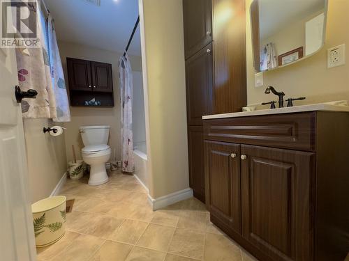 4 Serpentine Road, Mount Moriah, NL - Indoor Photo Showing Bathroom