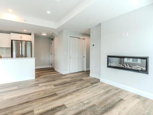 301-153 Wilson St W, Hamilton, ON - Indoor Photo Showing Other Room With Fireplace