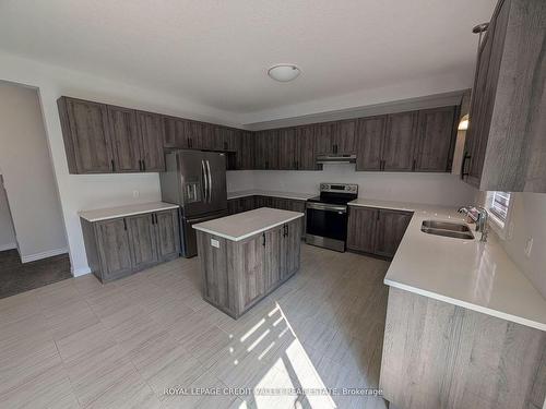 104 Sass Cres, Brant, ON - Indoor Photo Showing Kitchen With Double Sink