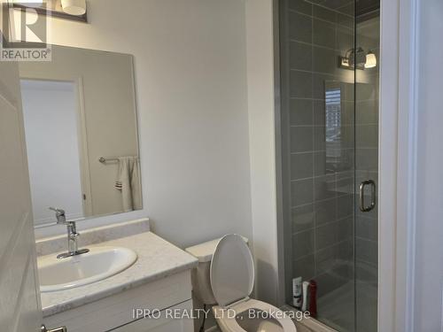 1265 Walnut Landing Lane, Milton, ON - Indoor Photo Showing Bathroom