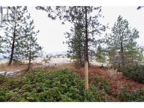 709 Sunglo Drive, Penticton, BC - Outdoor With View