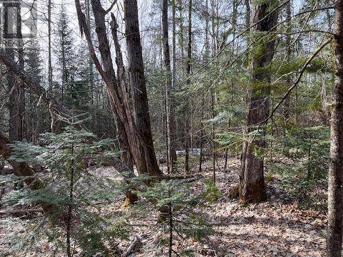 114 - 93 Rye Road, Parry Sound, Unorganized District (Lount), ON - Outdoor With View