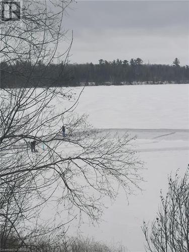 View of water feature - 297 Nickel Lake Shores Road, Rainy River, ON - Outdoor With Body Of Water With View