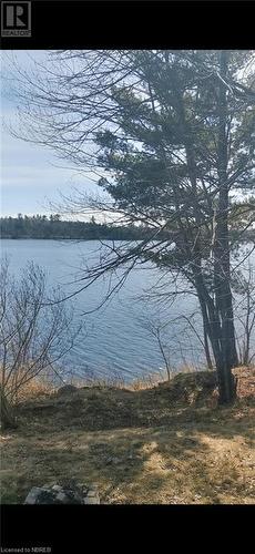 Water view - 297 Nickel Lake Shores Road, Rainy River, ON - Outdoor With Body Of Water With View