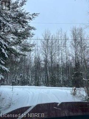 View of street - 297 Nickel Lake Shores Road, Rainy River, ON - Outdoor