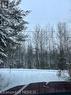 View of street - 297 Nickel Lake Shores Road, Rainy River, ON  - Outdoor 