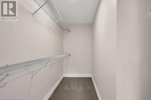 Spacious closet featuring carpet flooring - 3C Balsam Street, Innerkip, ON - Indoor With Storage