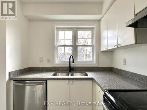 35 - 6060 Snowy Owl Crescent, Mississauga, ON - Indoor Photo Showing Kitchen With Double Sink