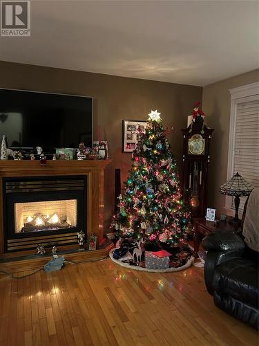 14 Dunn'S Place, St John'S, NL - Indoor Photo Showing Living Room With Fireplace