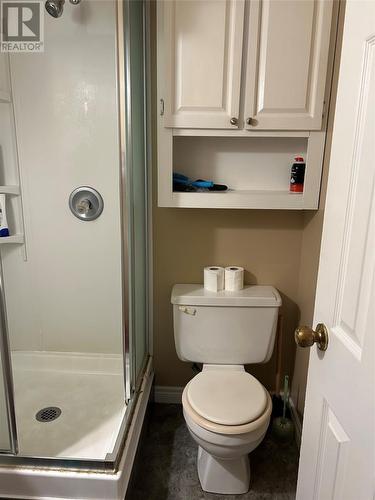 14 Dunn'S Place, St John'S, NL - Indoor Photo Showing Bathroom