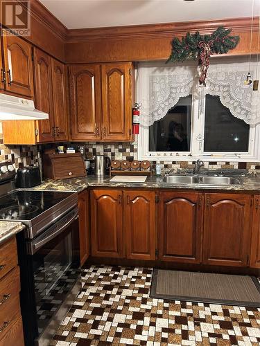 14 Dunn'S Place, St John'S, NL - Indoor Photo Showing Kitchen With Double Sink