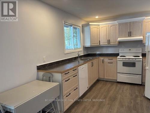 108 Lb7A Road, Rideau Lakes, ON - Indoor Photo Showing Kitchen With Double Sink