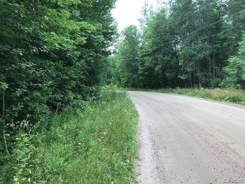 Frontage - 38 Ch. Du Lac-Lawless, Litchfield, QC 