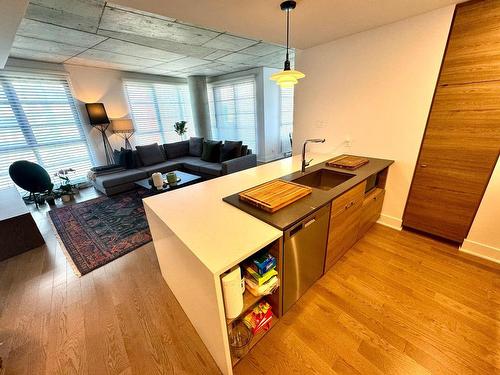 Kitchen - 802-1320 Rue Olier, Montréal (Le Sud-Ouest), QC - Indoor Photo Showing Kitchen With Double Sink