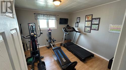 63 Seal Cove Road, Stephenville Crossing, NL - Indoor Photo Showing Gym Room