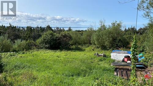 63 Seal Cove Road, Stephenville Crossing, NL - Outdoor With View