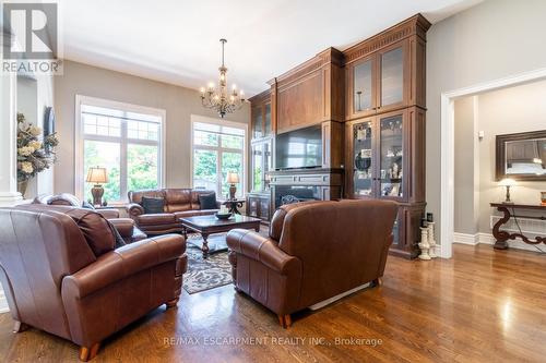 17 Mcdonald Court, Hamilton, ON - Indoor Photo Showing Living Room With Fireplace