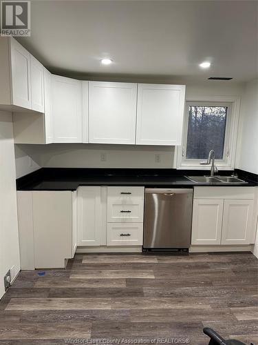 371 Wellington, Windsor, ON - Indoor Photo Showing Kitchen With Double Sink