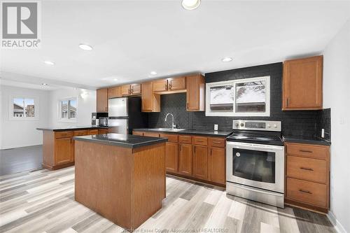 738 Stanley, Windsor, ON - Indoor Photo Showing Kitchen