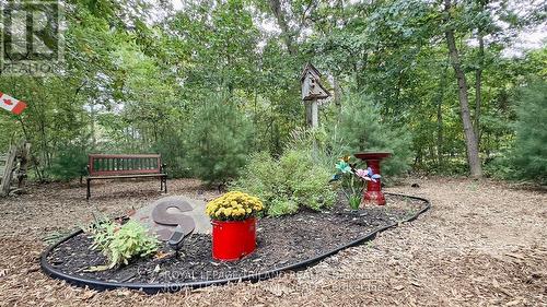 8846 Timberwood Trail, Lambton Shores (Grand Bend), ON - Outdoor