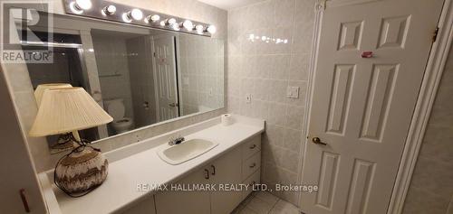 Lower - 3 Pottery Crescent, Brampton, ON - Indoor Photo Showing Bathroom