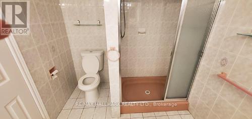 Lower - 3 Pottery Crescent, Brampton, ON - Indoor Photo Showing Bathroom