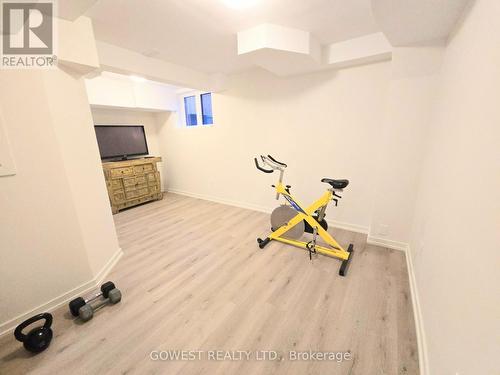 396 Belcourt Common, Oakville, ON - Indoor Photo Showing Gym Room