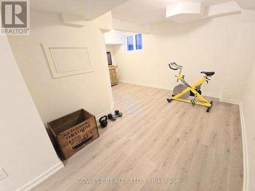 396 Belcourt Common, Oakville, ON - Indoor Photo Showing Gym Room