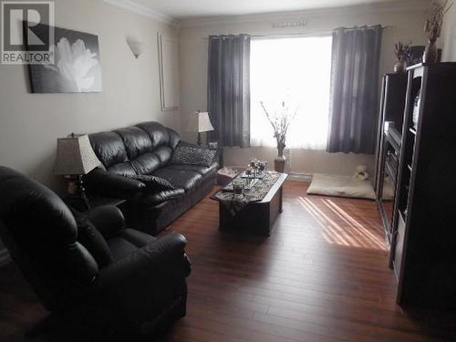 10-14 Irishtown Road, Carbonear, NL - Indoor Photo Showing Living Room