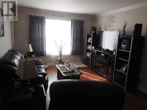 10-14 Irishtown Road, Carbonear, NL - Indoor Photo Showing Living Room