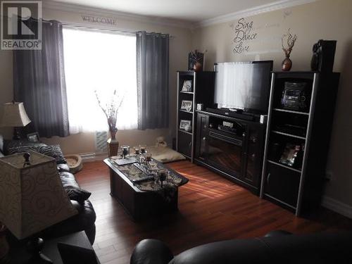 10-14 Irishtown Road, Carbonear, NL - Indoor Photo Showing Living Room