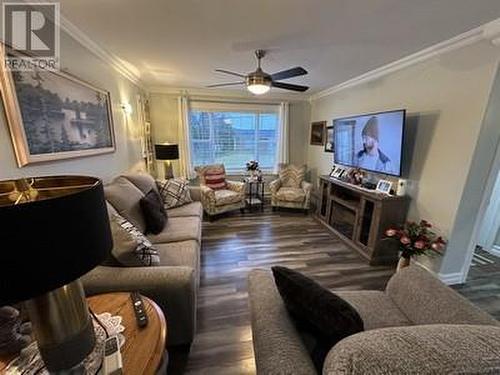 10-14 Irishtown Road, Carbonear, NL - Indoor Photo Showing Living Room